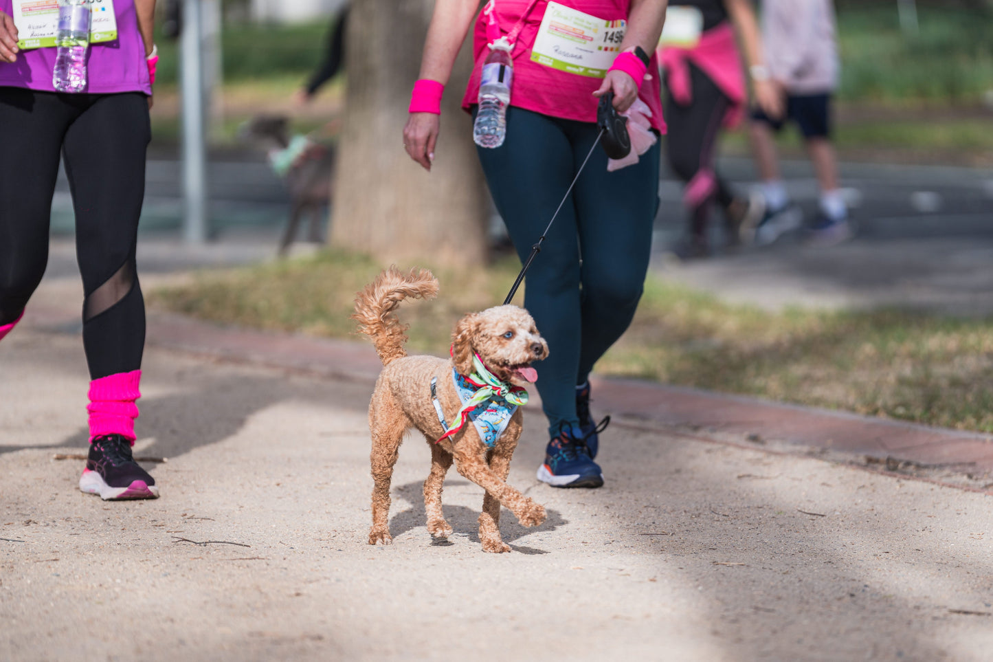"Let's Get Animal" Pet Bandana