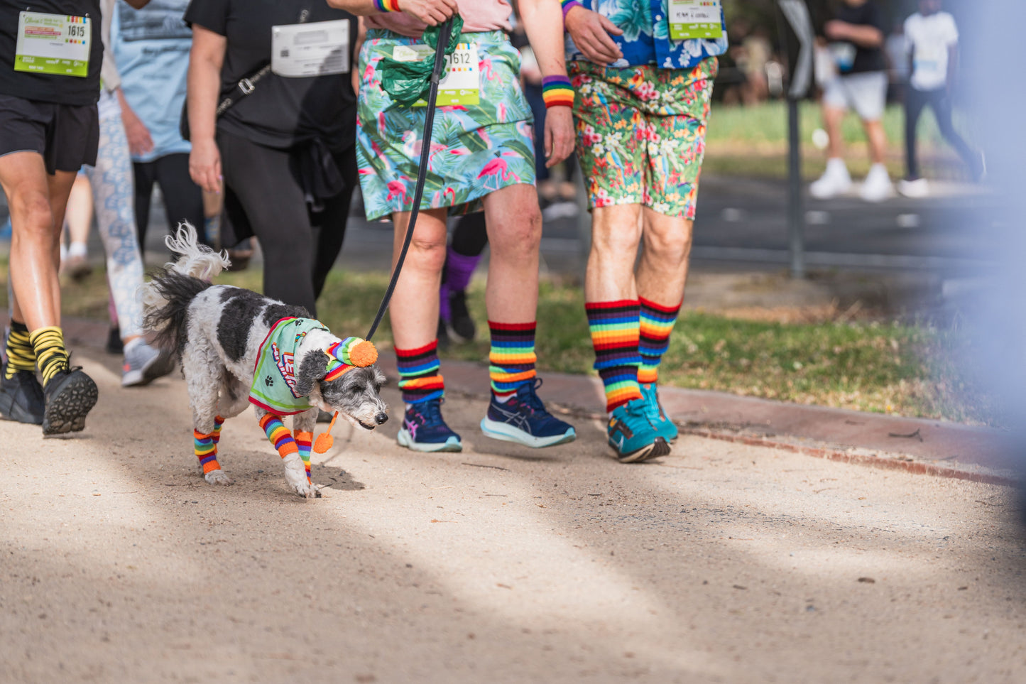 "Let's Get Animal" Pet Bandana