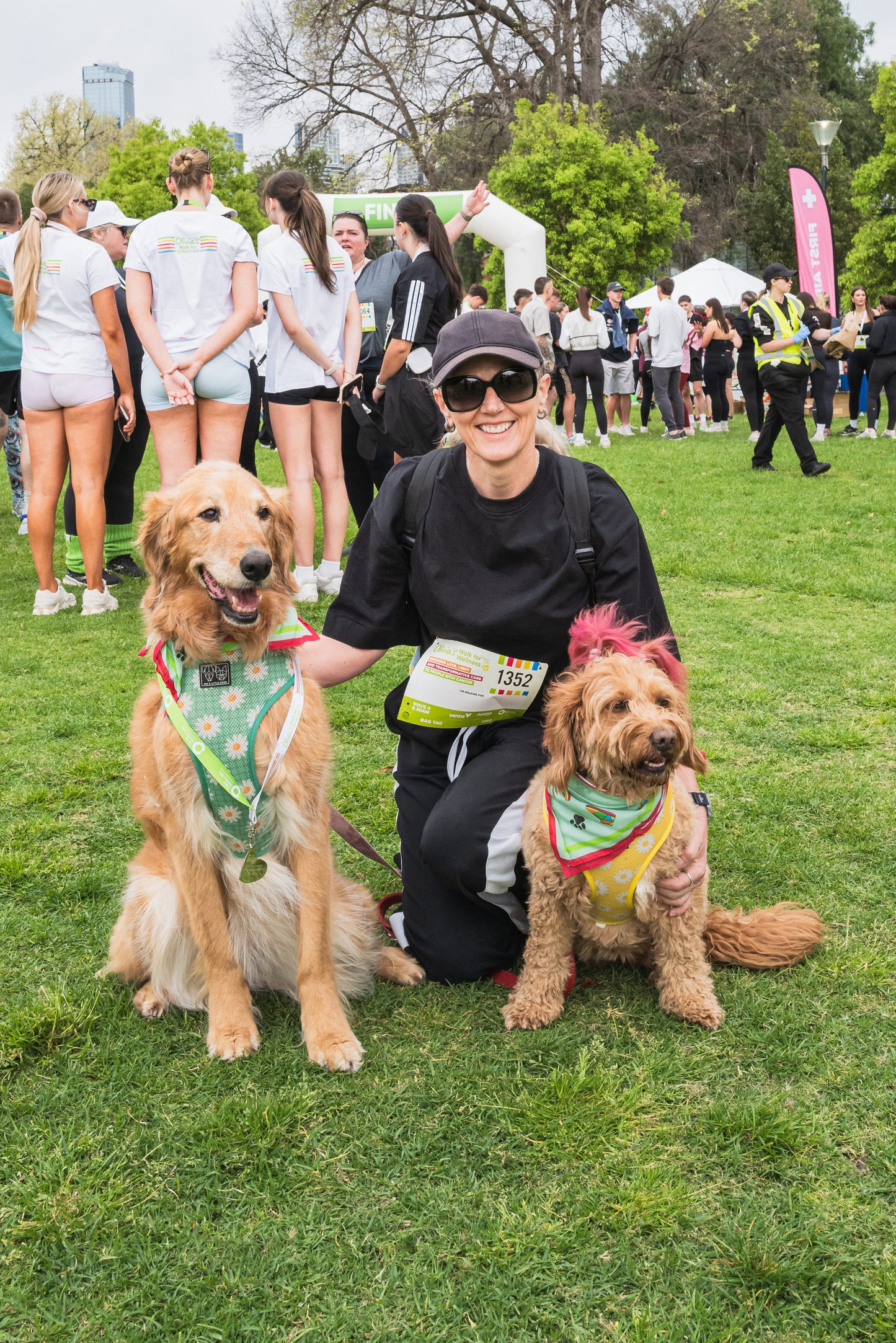 "Let's Get Animal" Pet Bandana